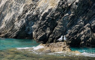 SerifosSeaTours 12